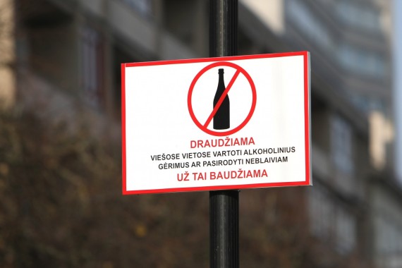 Prezidentė: tautos girdymui ir interesų grupių lobizmui nepritariu