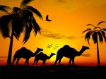 HURGADA 