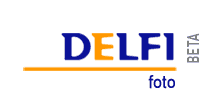 Delfi logo