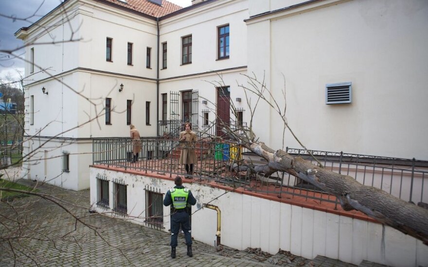 Medis užvirto ant Italijos ambasados
