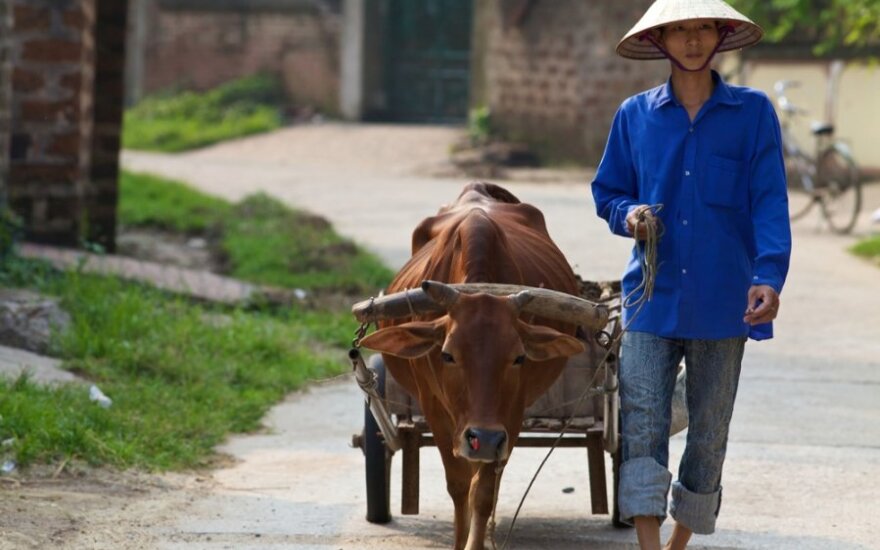 Вьетнам винит в смертоносной болезни металлы и плесень