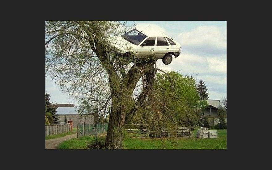 Соседи подвесили автомобиль лихача на дерево