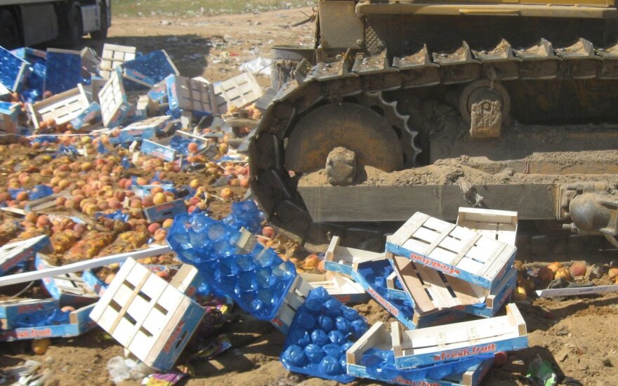 Россельхознадзор отчитался об уничтоженных санкционных продуктах: 7,5 тыс. тонн