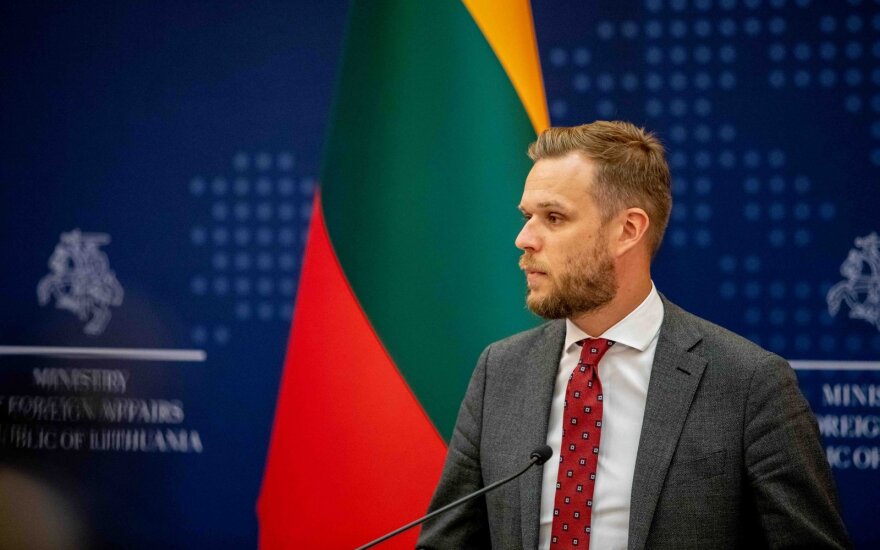 Глава МИД Литвы: решение министров ЕС позволит применить санкции к организаторам миграции