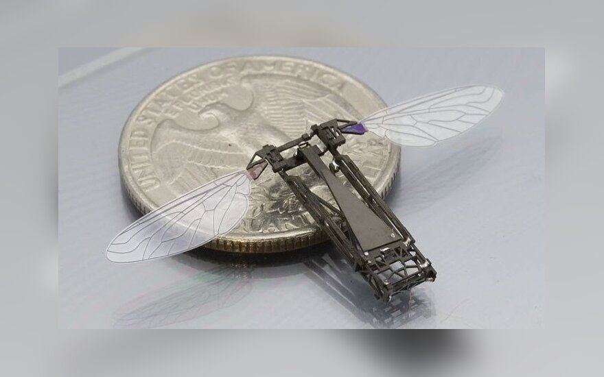 Harvardo mokslininkai sukūrė robotą-bitę