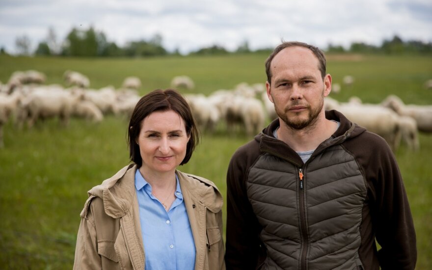 Жизнь в столице семья променяла на собственное хозяйство: выращивают овец и ни о чем не жалеют