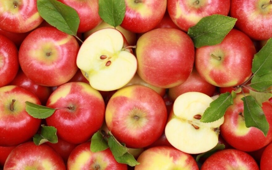 Белорусские яблоки заменят россиянам польские