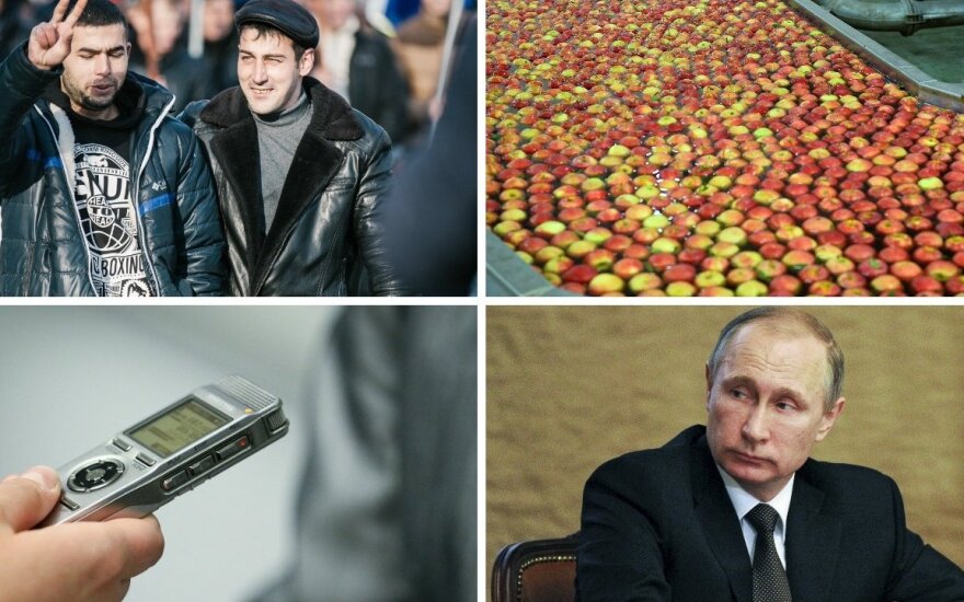 Международная афера: польские яблоки попали в Литву, стали молдавскими и оказались в России