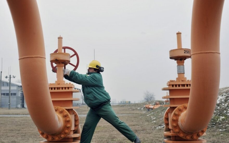 Эксперт: Европа могла бы выжить, даже если Россия закроет газовую трубу