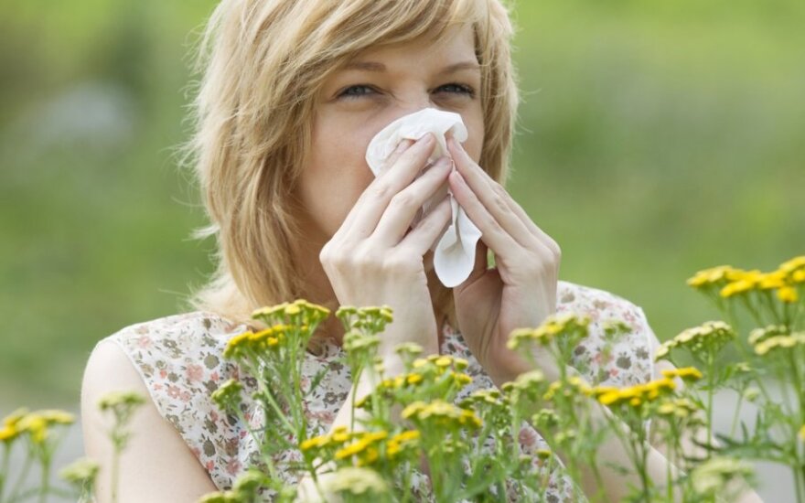 Боремся с аллергией: профилактика, витамины и народная медицина