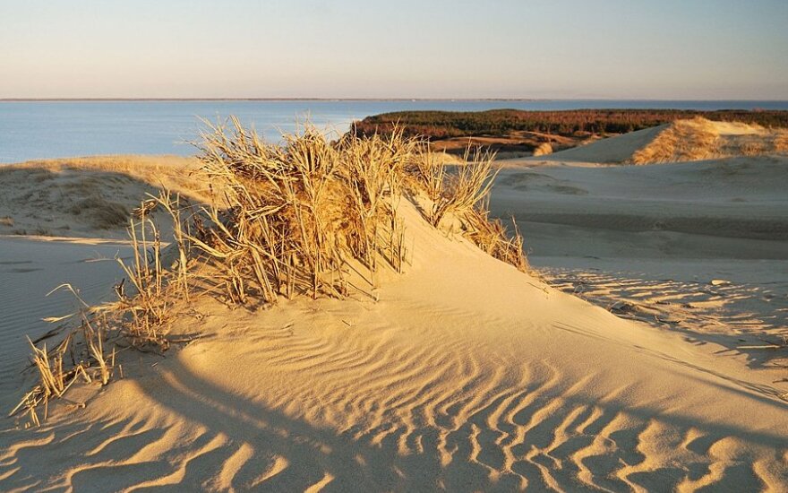 Судьба нидских дюн: можем потерять прелестные белые дюны
