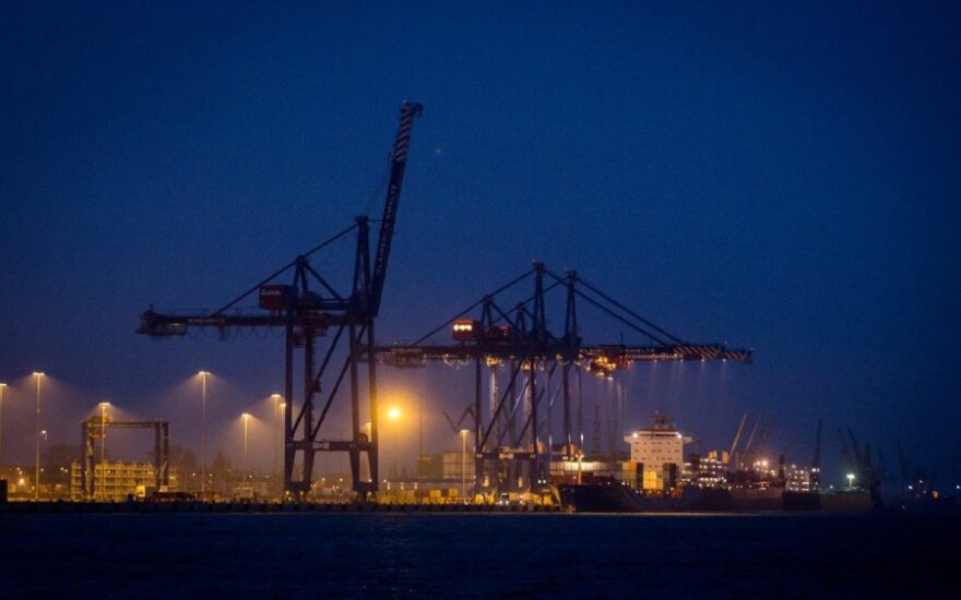 Расширению Клайпедского порта мешает занесенное в Красную книгу растение