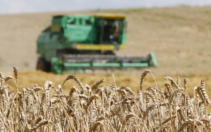 Экспорт зерна из Литвы в сентябре увеличился на треть