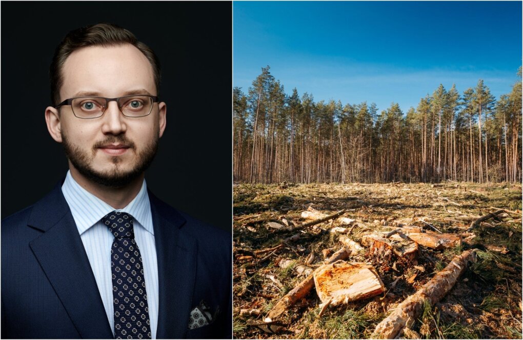 Martynas Antanaitis, advokatas, LJAA narys