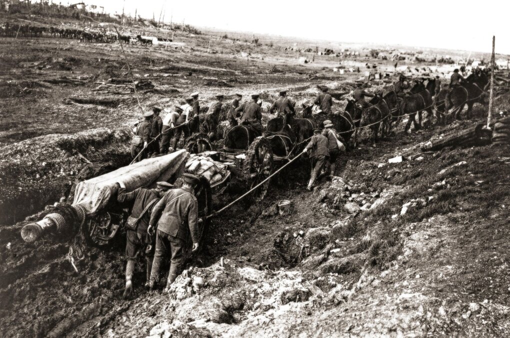 Somos mūšis, 1916, arkliai