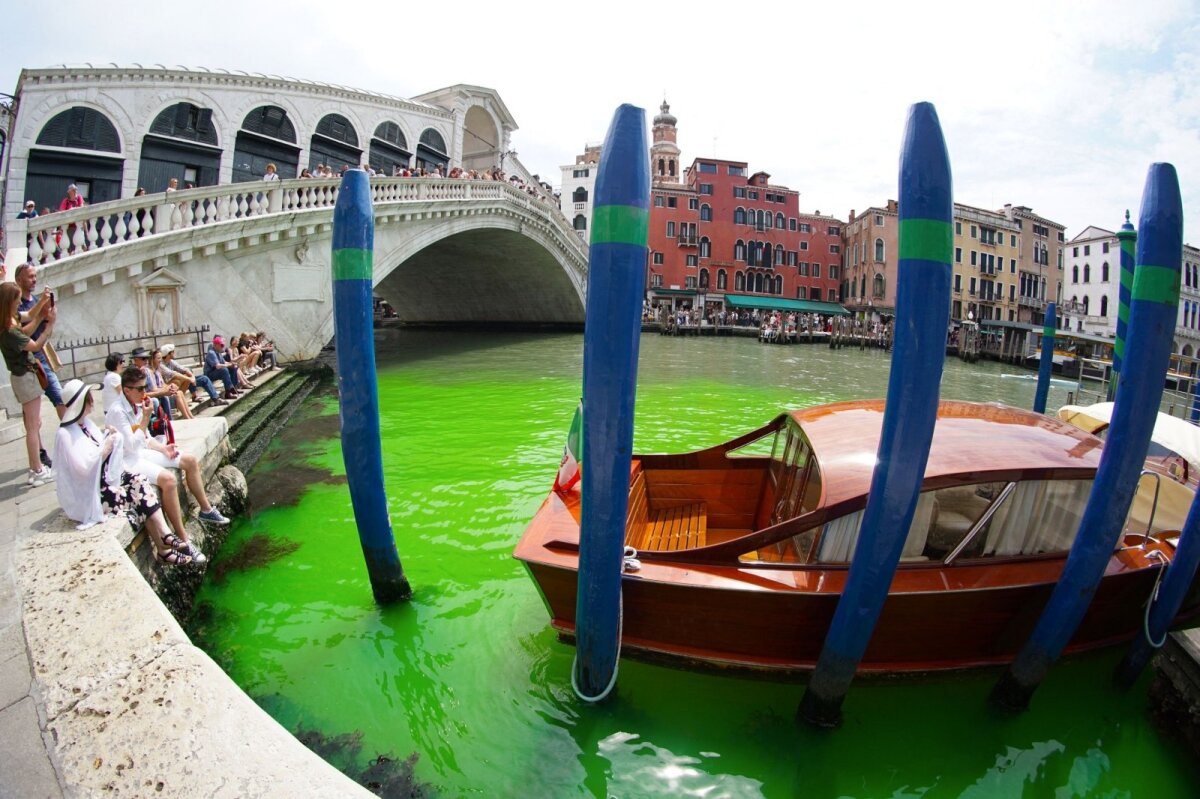 Il Canal Grande di Venezia si è tinto di un verde fosforescente