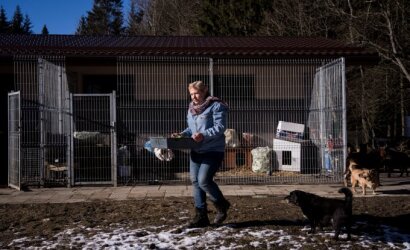 Pakeliui į pajūrį rastas šuo gyvenimą apvertė aukštyn kojomis: kartais jau neužtenka jėgų tą išgyventi