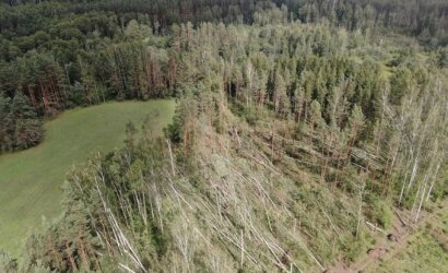 Lietuvą siaubusios audros miškams padarė didelės žalos: ekspertai paaiškino, kur keliauja stichijų suniokoti medžiai