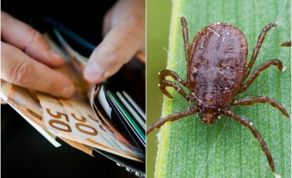 Lietuvių kova su erkėmis: ne visi žino, kokią sąskaitą vėliau gaus