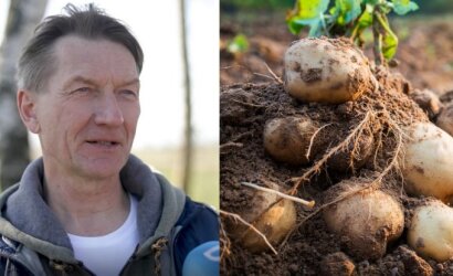 Bulvių augintojas apie kitokį pavasarį: jau tiksliai galime pasakyti, kurį mėnesį sulauksime šviežių bulvių