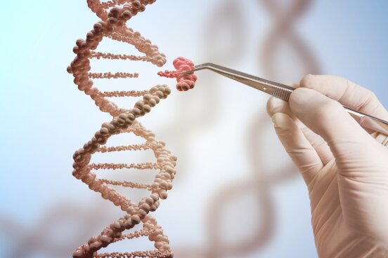 CRISPR suteikia galimybę šalinti genetines mutacijas, ar netgi pridėti „geresnių“ genų