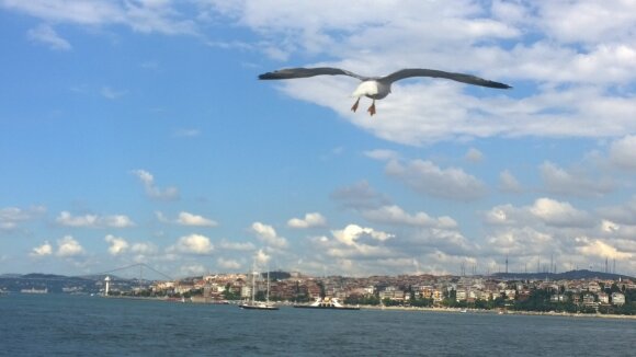 Vietoje tobulų atostogų – nemalonios žinios ir pažeminimas Turkijoje