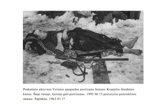 Saugumiečiams Kraujelis-Siaubūnas buvo lyg prakeiksmas: nesugaunamam partizanui klijavo kraupius nusikaltimus