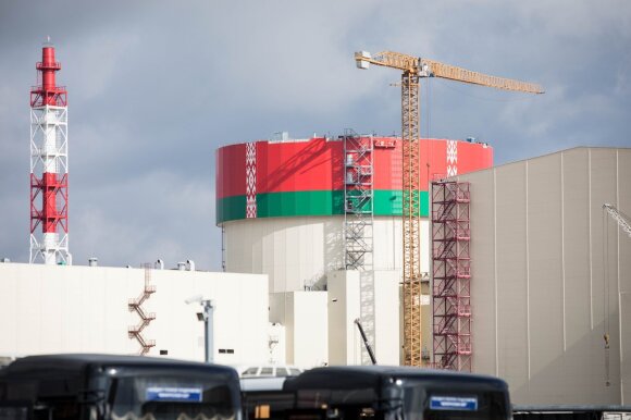 Российский эколог: реакторы "Росатома" и АЭС в Беларуси - это вопрос суверенитета стран Балтии
