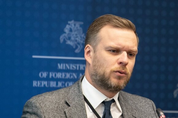 Seimui Gražulio iniciatyva nepatiko: pirmalaikiams Seimo rinkimams nepritarta