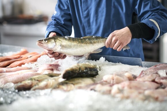 Ekspertas išvardina 8 žuvies rūšis, kurių geriau nevalgyti: tai žuvys-žudikės, kenkiančios žmogaus sveikatai