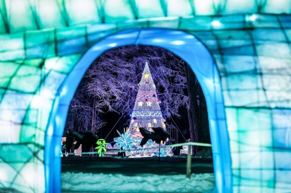 Kalėdinis festivalis, kuris privers pakilti nuo šventinių stalų: čia lankytojai plūsta iš visos Lietuvos