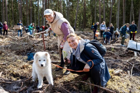 Įsibėgėja ERGO iniciatyva apsodinti Lietuvą medžiais: jau prisijungė pusė tūkstančio komandų