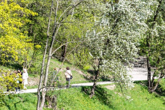 Didesnių orų permainų kol kas nenumatoma