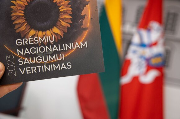 Ragina baigti ginčus dėl Vokietijos brigados: situacija yra visiškai kitokia