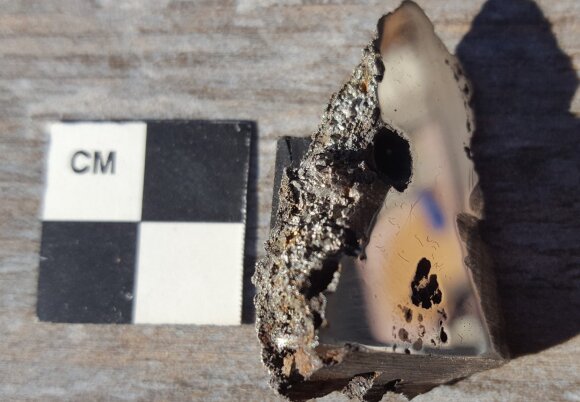 Mokslininkų komanda 15 tonų sveriančiame meteorite aptiko mažiausiai du naujus, anksčiau Žemėje nematytus mineralus. University of Alberta nuotr.