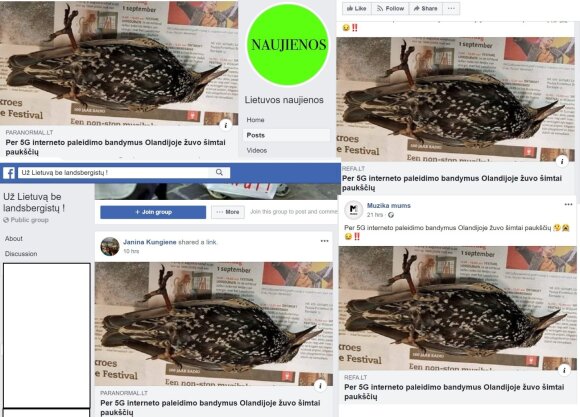 Lietuvius baugina istorija apie kritusius paukščius: tai – tik „ryšių su ateiviais atstovo“ pramanas