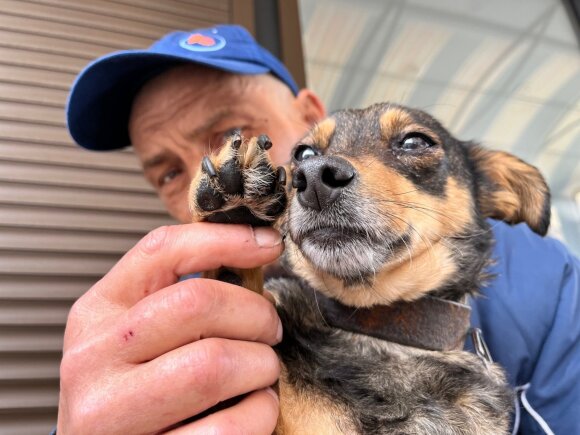 "Я ей пообещал, что мы дойдем!": как 60-летний мариуполец вышел пешком из города вместе с собакой