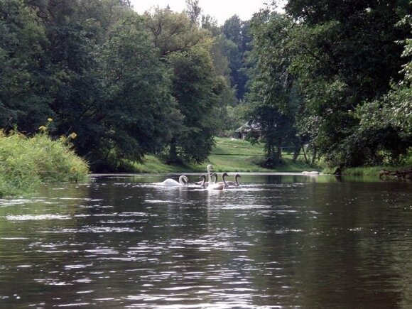 Baidarių maršrutai. Verknė
