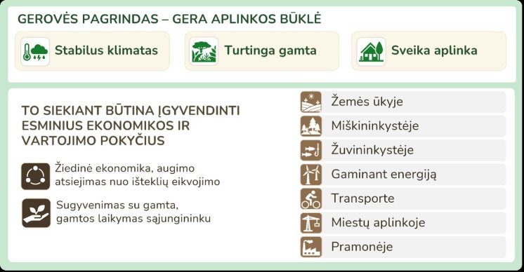 Ekrano nuotrauka iš Lietuvos būklės visuomeninės apžvalgos