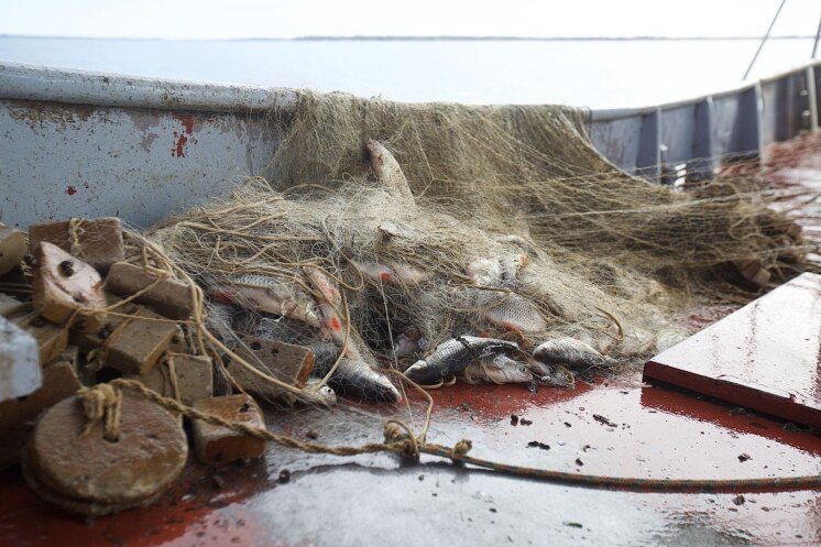 Nauji žvejybos ribojimai sukėlė verslininkų pasipiktinimą: mums gresia bankrotas