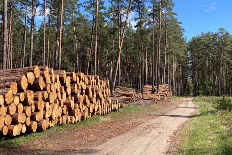 Kova dėl Lietuvos miškų pasiekė kulminaciją