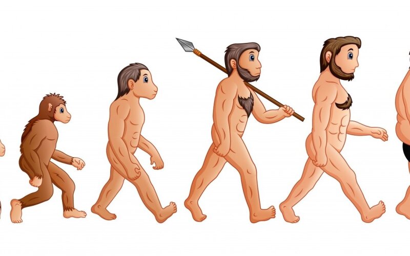 evoliucija