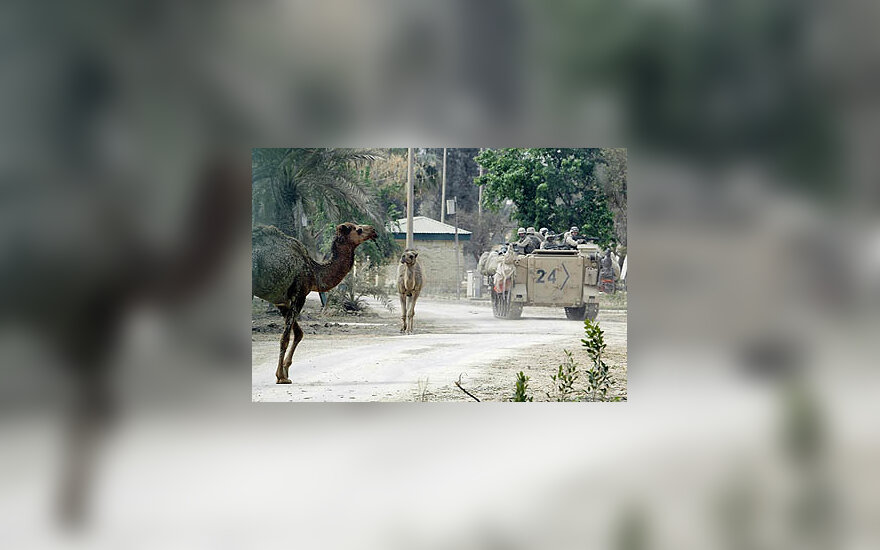 JAV kariškiai Irake važiuoja pro kupranugarius