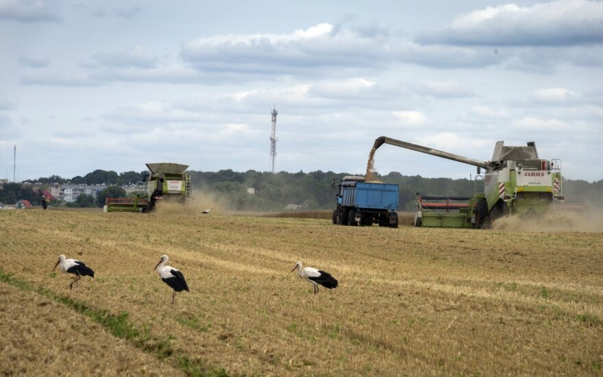 Kokius nuostolius pernai dėl karo patyrė Ukrainos žemės ūkis