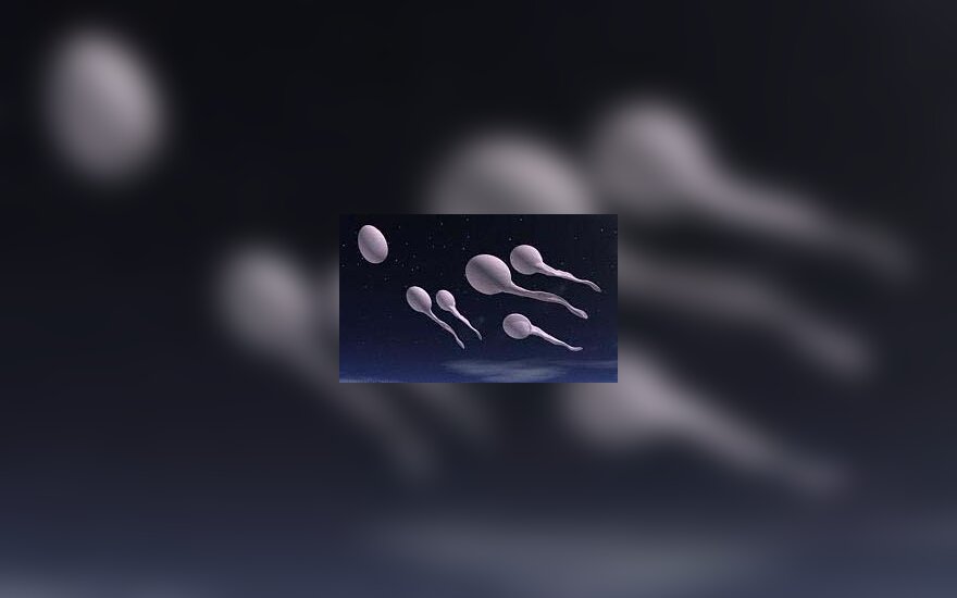 Spermatozoidai