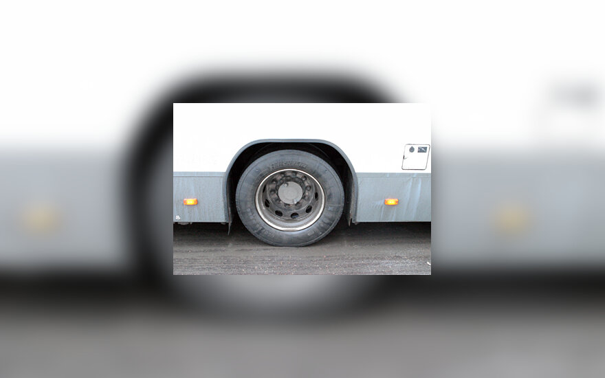 Autobuso ratas