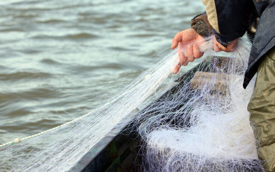 Gedvilienė: jau dešimt metų žinome, kad reikia mažinti verslinę žvejybą Kuršių mariose