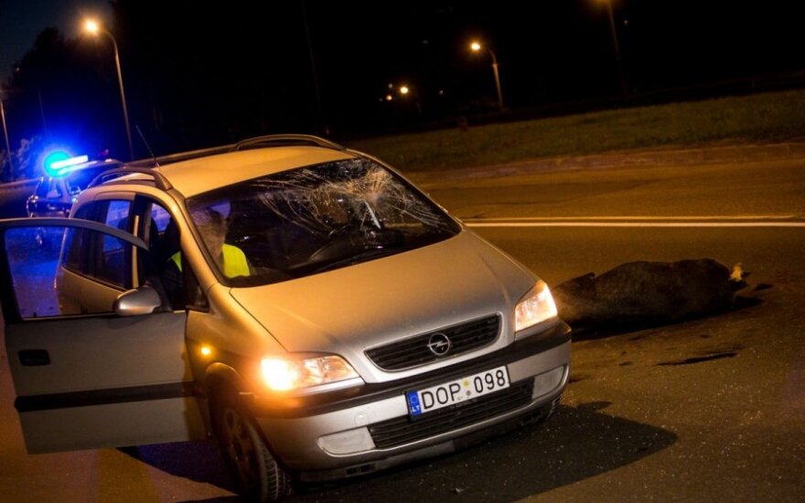 Naktį Vilniuje automobilis partrenkė dar vieną briedį