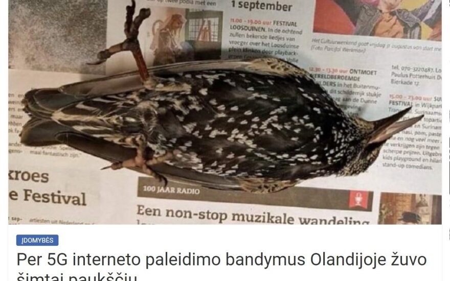 Lietuvius baugina istorija apie kritusius paukščius: tai – tik „ryšių su ateiviais atstovo“ pramanas
