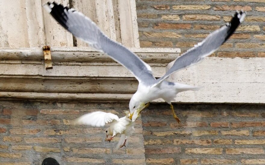 Vatikane per ceremoniją paleistus karvelius užpuolė kiti paukščiai